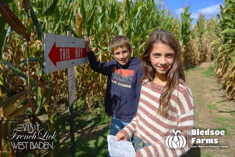 Exploring the corn maze at Bledsoe Farms