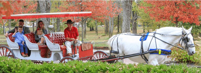 Family enjoying a carriage ride