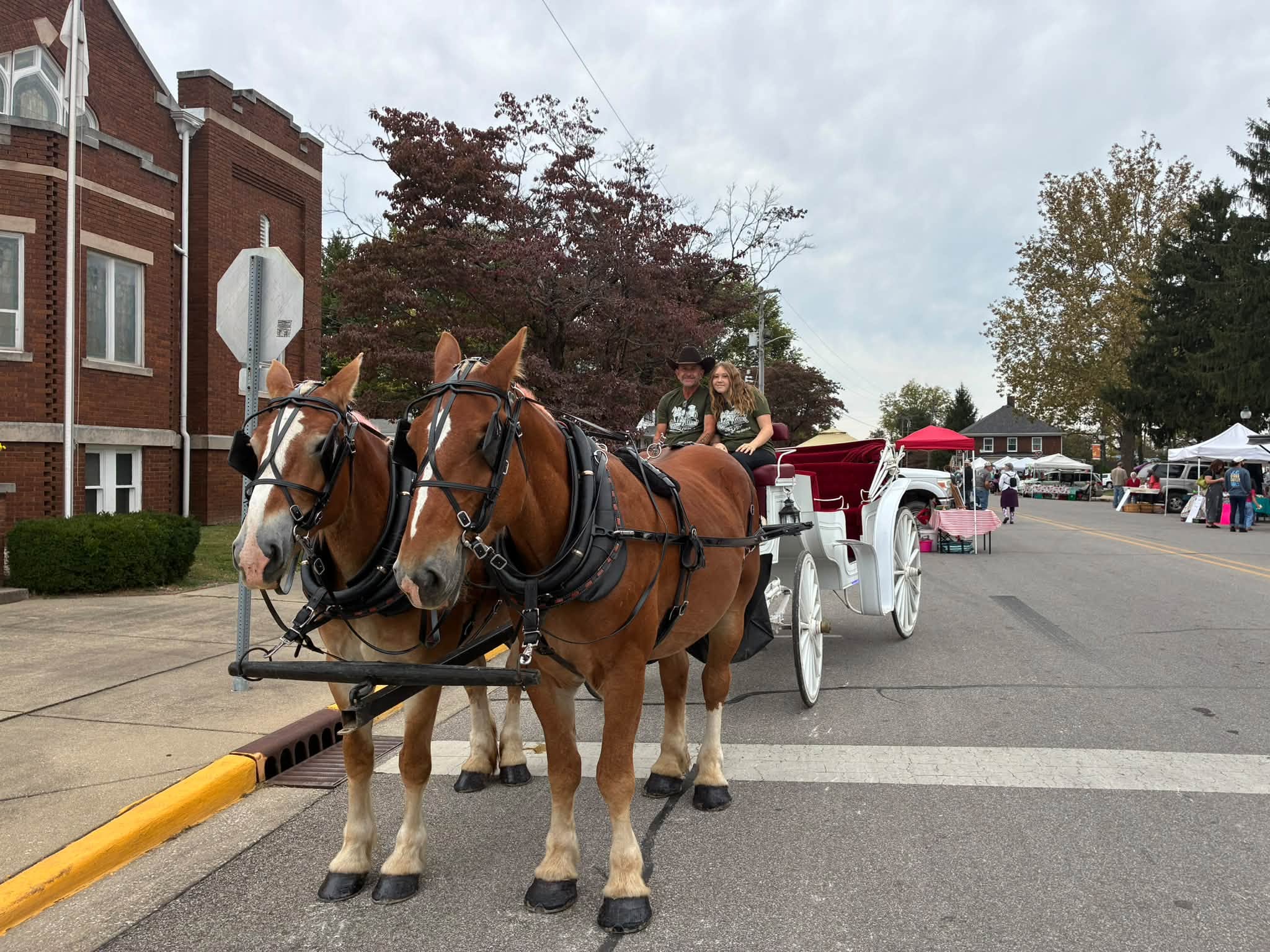 Horse Drawn Carriage Rides